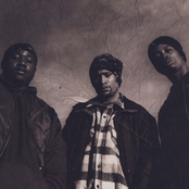 Brand Nubian - List pictures