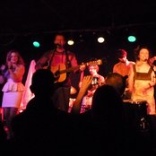 Lost In The Trees - List pictures