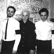 Mourning Widows - List pictures