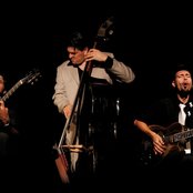 Shine - List pictures