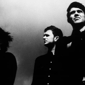 White Lies - List pictures