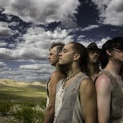 Sleepytime Gorilla Museum - List pictures