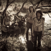 Crystal Fighters - List pictures