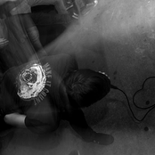 Ambrosia - List pictures