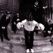 Zug Izland - List pictures