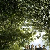 Entwine - List pictures