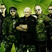 U. D. O. - List pictures