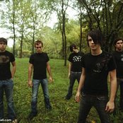 Novella - List pictures