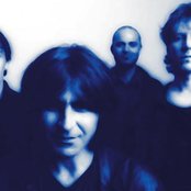 Chameleons - List pictures