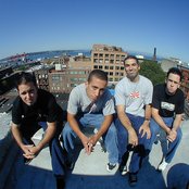 Dogwood - List pictures