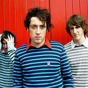 Wombats - List pictures