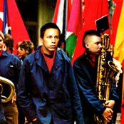 Koop - List pictures