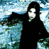 Sinergy - List pictures