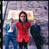 Pollyanna - List pictures