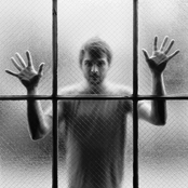 Nils Frahm - List pictures