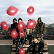 Lovebugs - List pictures