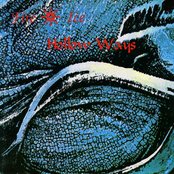 Fire And Ice - List pictures