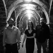 Blind Cave Salamander - List pictures