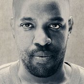 Shad - List pictures