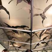 Alexisonfire - List pictures