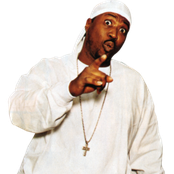 Project Pat - List pictures