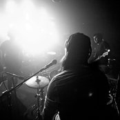 White Apple Tree - List pictures