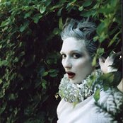 My Brightest Diamond - List pictures