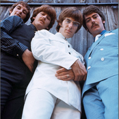 Lovin Spoonful - List pictures