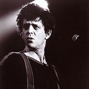Reed Lou - List pictures