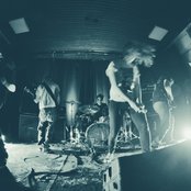 Amber - List pictures