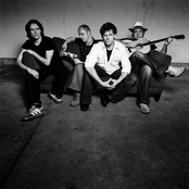 Racoon - List pictures