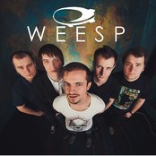 Weesp - List pictures