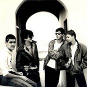 Plebe Rude - List pictures