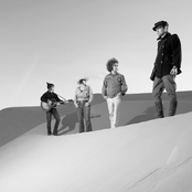 Dandy Warhols - List pictures