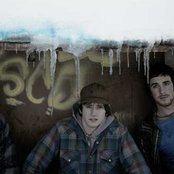 Mimicking Birds - List pictures