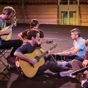 Ornatos Violeta - List pictures