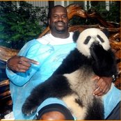 Shaquille O'neal - List pictures
