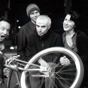 Tarnation - List pictures