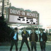 The Normals - List pictures