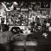 Little Brother - List pictures