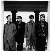 The Beloved - List pictures