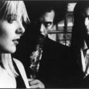 Dream Academy - List pictures