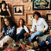 Rainbow - List pictures