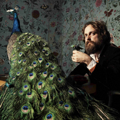Iron & Wine - List pictures