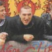 Molodoi - List pictures