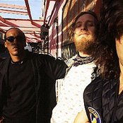 Spin Doctors - List pictures