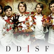 Kaddisfly - List pictures