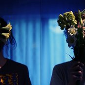 Plastic Flowers - List pictures