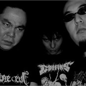 Coffins - List pictures