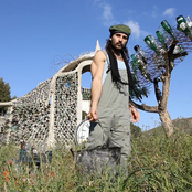 Miguel Campello - List pictures